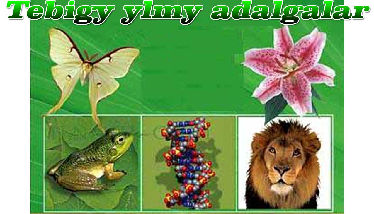 TEBIGY YLMY UGURLY SYNPLARDA WE MEKDEPLERDE ADALGALAR BILEN IŞLEMEGIŇ USULLARY