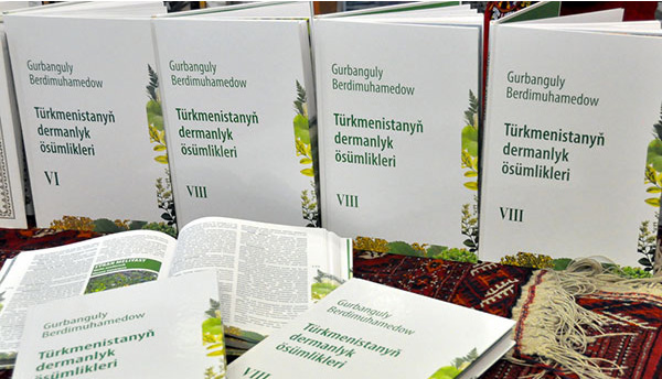 UMUMYBILIM EDARALARYNDA SAGDYN WE HOWPSUZ DURMUŞ  ÝÖRELGELERINIŇ KÄBIR MESELELERI