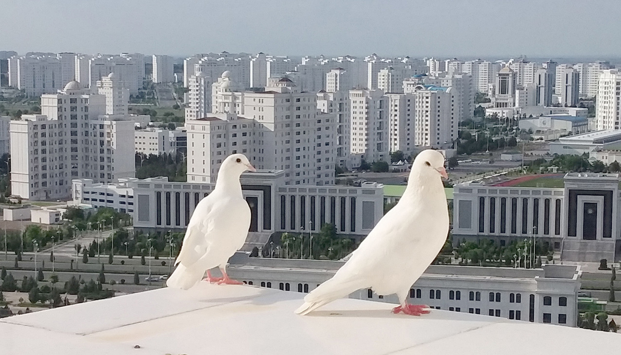 WATAN ÜÇIN BAKY ÝAŞAŇ, HER ÖMÜRDE SIZ, ARKADAG!