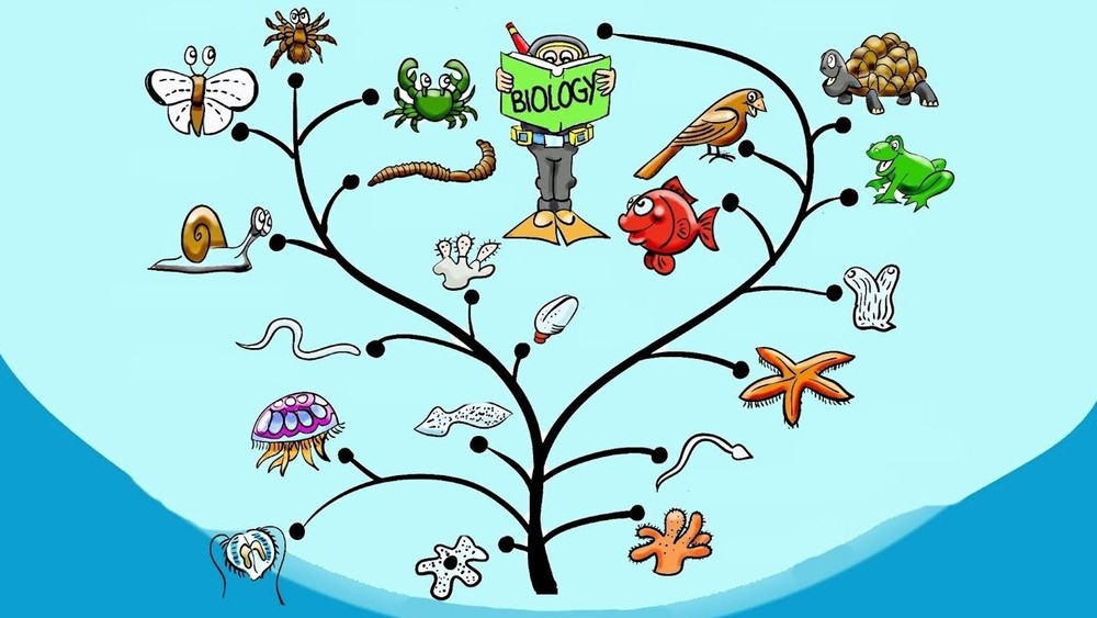 BIOLOGIÝADAN OKUWÇYLARYŇ BILIMLERINI BARLAMAKDA DIKTANTYŇ ULANYLYŞY