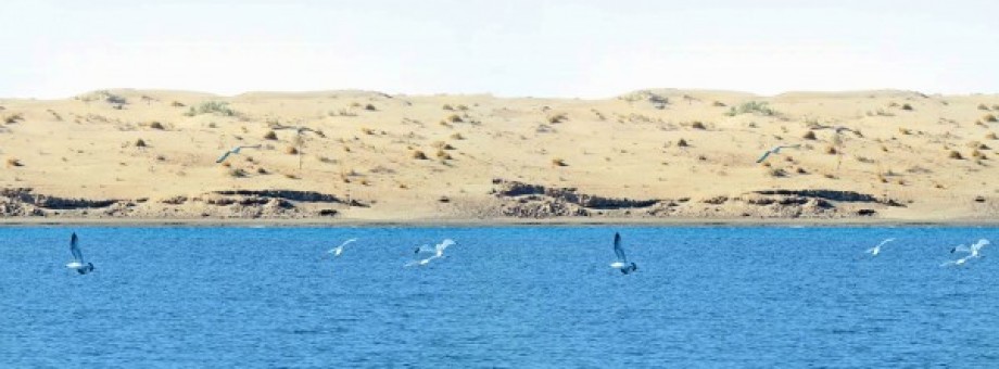 “ALTYN ASYR” TÜRKMEN KÖLÜNIŇ ŞOR-ZEÝ SUWLARYNYŇ TOPLUMLAÝYN ULANYLYŞY